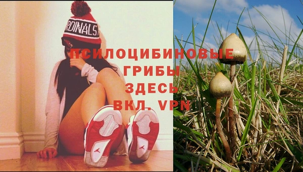 дживик Вяземский