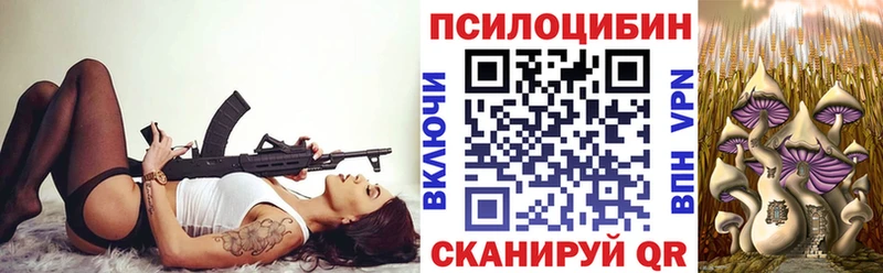 Купить закладки  Ладушкин  Галлюциногенные грибы GOLDEN TEACHER 